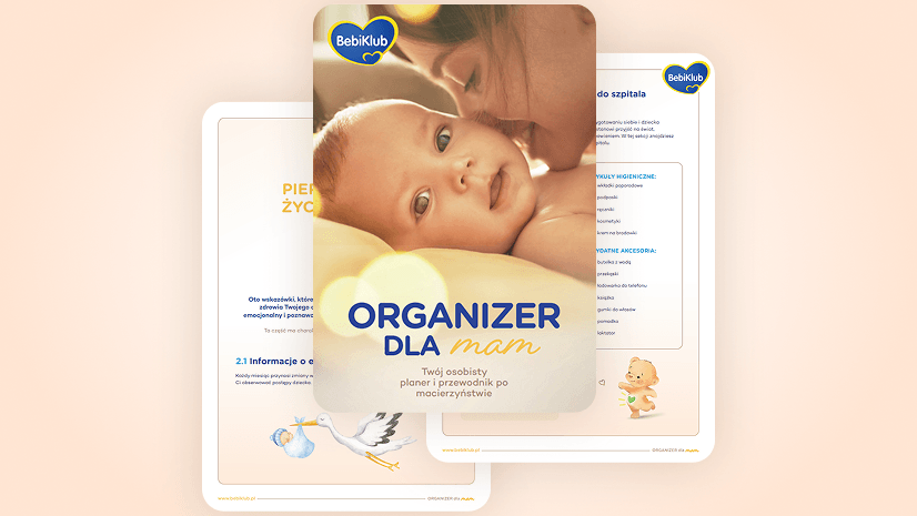 Organizer_Hero_bckg-mobile