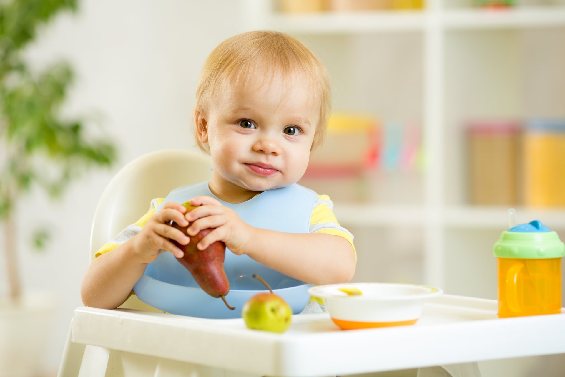 shutterstock_228370117.original.jpg